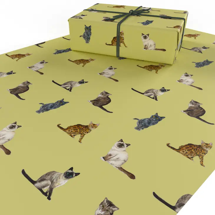 Cat Breeds Wrapping Paper