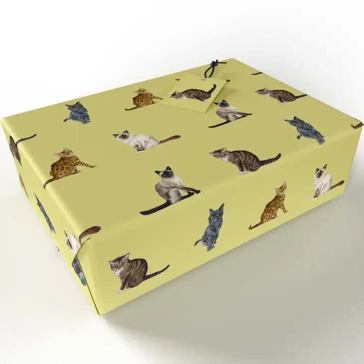 Cat Breeds Wrapping Paper