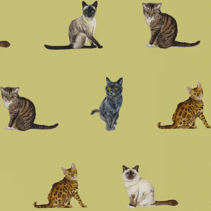 Cat Breeds Wrapping Paper